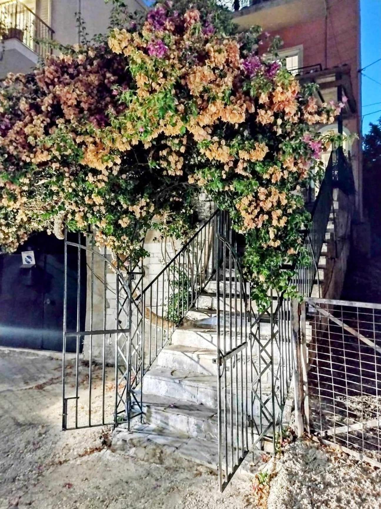 Corfu Pelekas Apartment 2 المظهر الخارجي الصورة